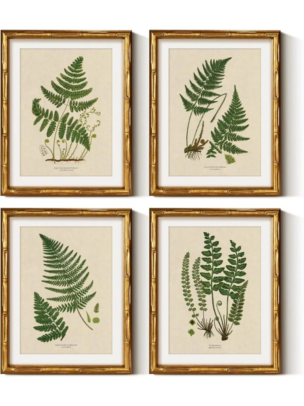 Vintage Botanical Wall Art Set - 4pcs Bamboo Framed Fern Prints, 11x14